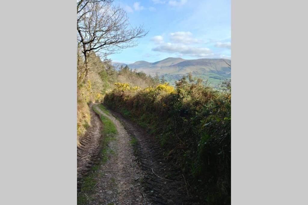 Corderry Farmhouse, Idyllic Cottage Amid 250 Acres Lisvernane Exterior foto